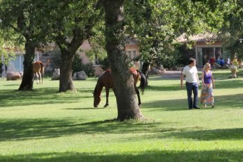 Country Hotel Mandra Edera