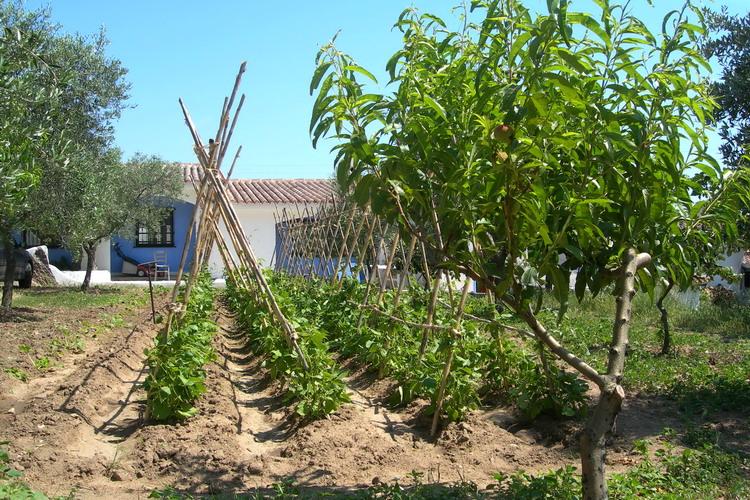 Agriturismo Guthiddai