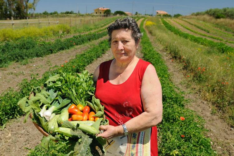 Agriturismo I Vigneti