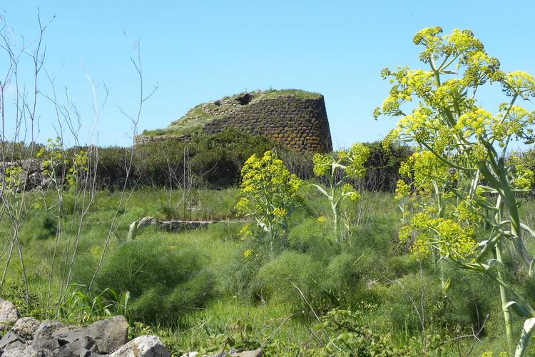 Nuraghe Losa Abbasanta