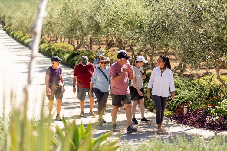 Oikos Terre di Zaccanello